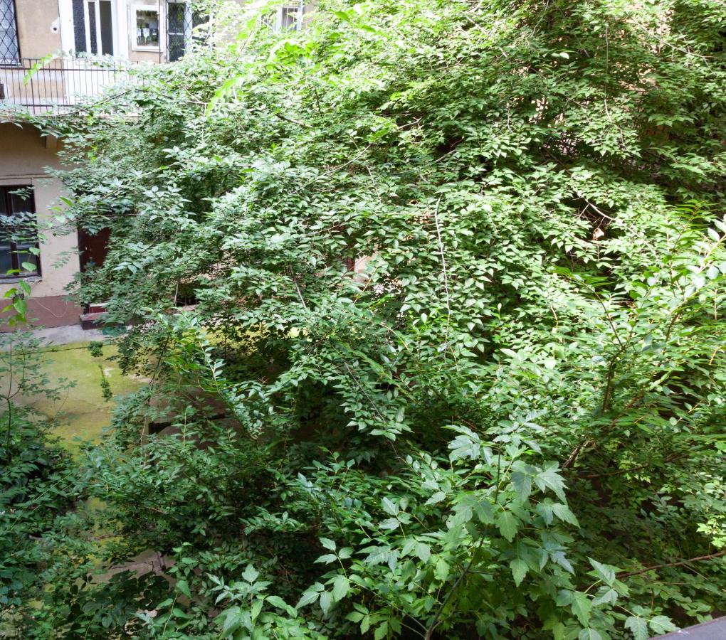 Happy Turtle Apartments Budapeste Exterior foto